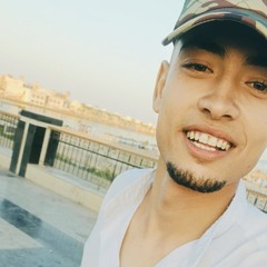Ali Elsaied