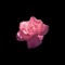 rosethorns