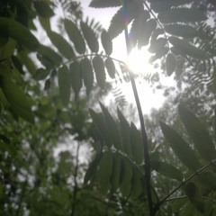 Quirky like Jessica.