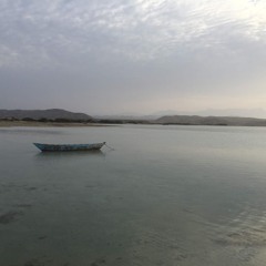 omar sakeb