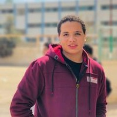 Taha Elsalamony