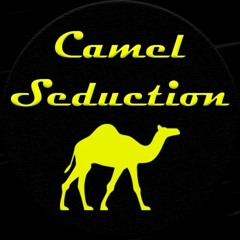 Camel Seduction