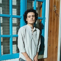 Ahmed A. EL Shanaf