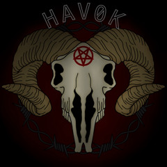 HAVOK VOL.1