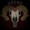 DJ.HAVOK