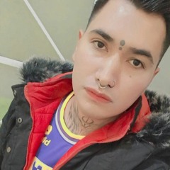 draco_