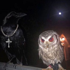 Twilight'ill