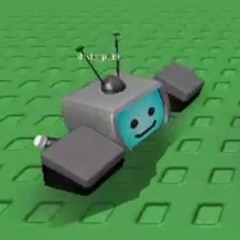 davidnp