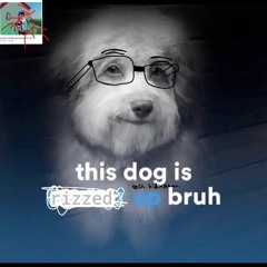 This dog is rizzed up bruh