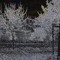 AuraSFear