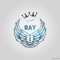 RAY