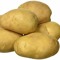 Stoic Potato 🥔