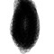RT5