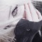 YAECHI