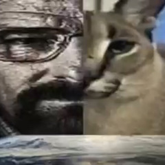 e_shirog
