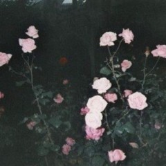 die