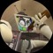 mr puzzles [fake]