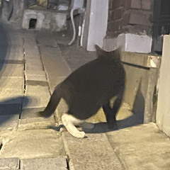 윤
