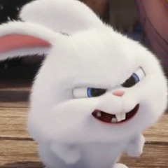 ZII