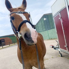 NU🐴💗