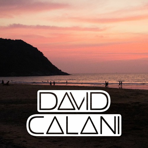 David Calani’s avatar