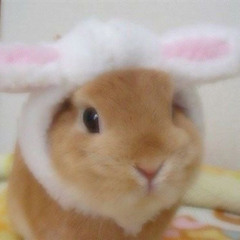 🗯️🐾👛Penny👛🐾🗯️