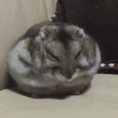 ◡̈