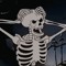 spooky reanimated