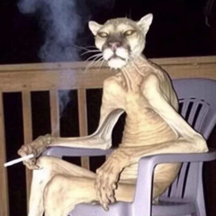 GYALDEMINDISGUISE