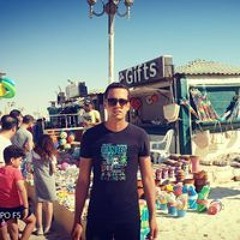 محمود الجندى