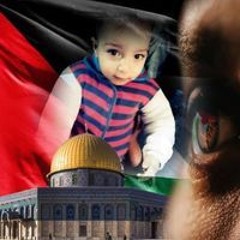 محمود نبيل الجندي