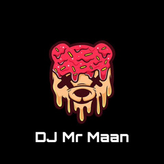 Dj Mr Maan