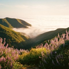 - D A N A 🪼🫧 -