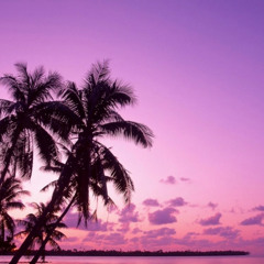 Sunset_&_Palms