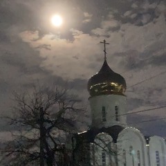 Нічка 🌑