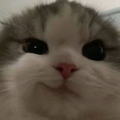 가든