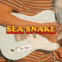 Sea Snake