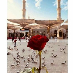 Duaa Muhammad