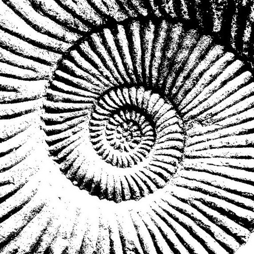 Project - 12 28 24, 15.22