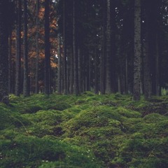 will winters
