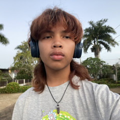 saiferii