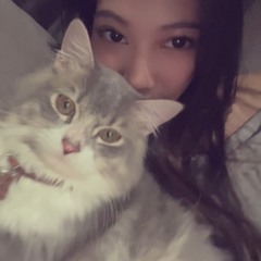 hildi
