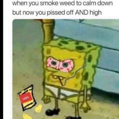 Florida Promotion Page 🔥