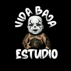 Vida Baja Estudio