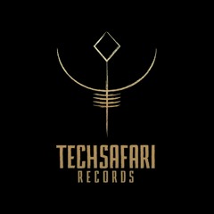 Techsafari records