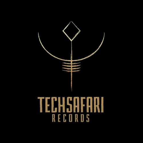 Techsafari records’s avatar