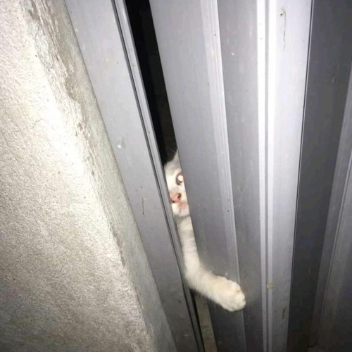 DODÔ PRESSÃO - SOCA TUDO  COM GRAVE.mp3