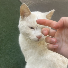 0587