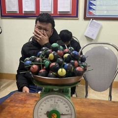 học luật để lách