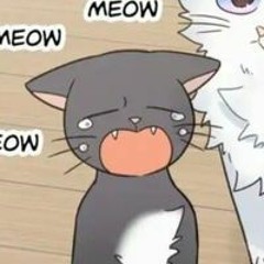 Mofu Tofu